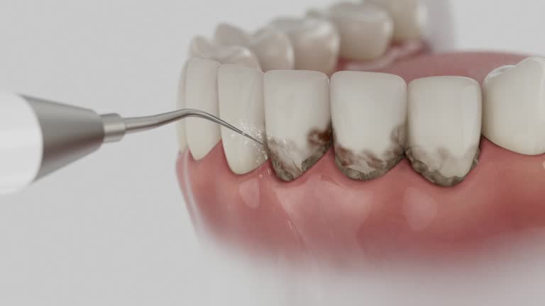 Reliable Dental contractor in Parke County County, IN by Dentist Open Now